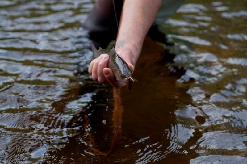 Szlakiem czerwonej drogi